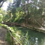 Park Rodini