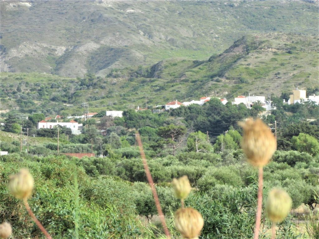 wioski Rodos - Arnitha