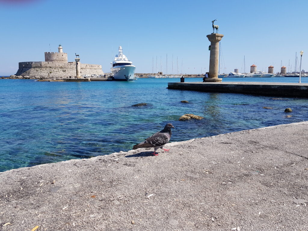 Port Mandraki Rodos wiatraki i jeleń symbol wyspy Grecja